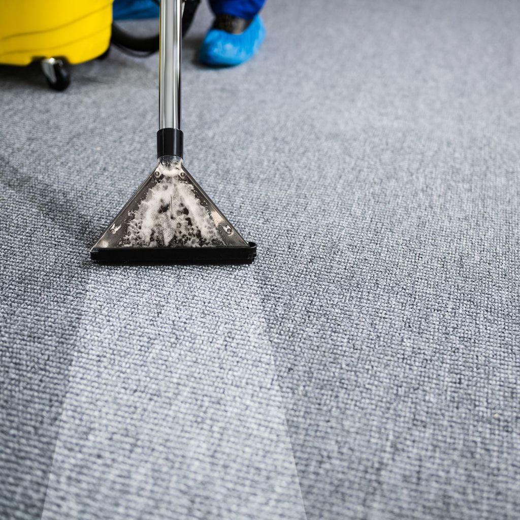 Why Office Carpet Cleaning is Important